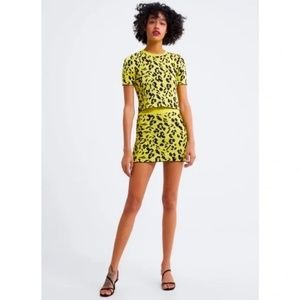 Zara leopard print knit set